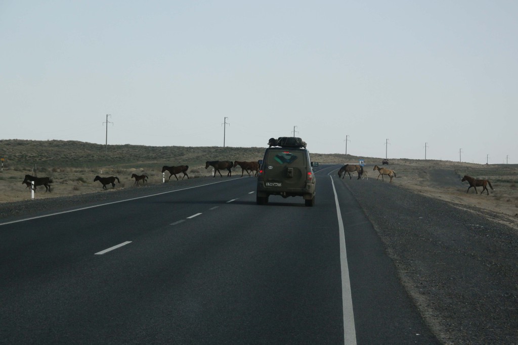Дороги Казахстана